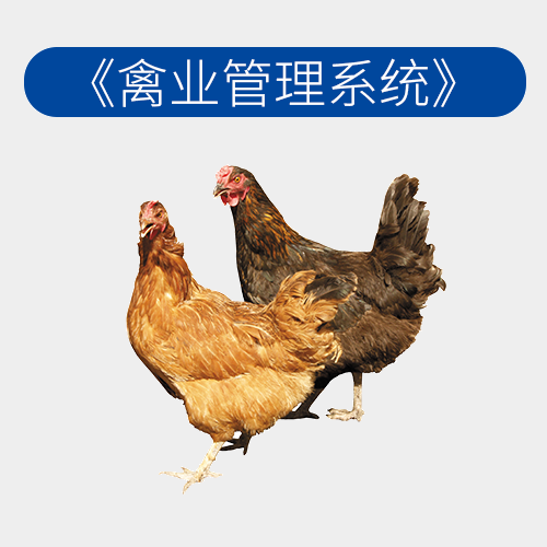 种禽养殖管理系统
