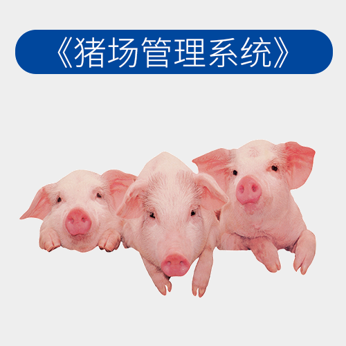 肉猪委托养殖